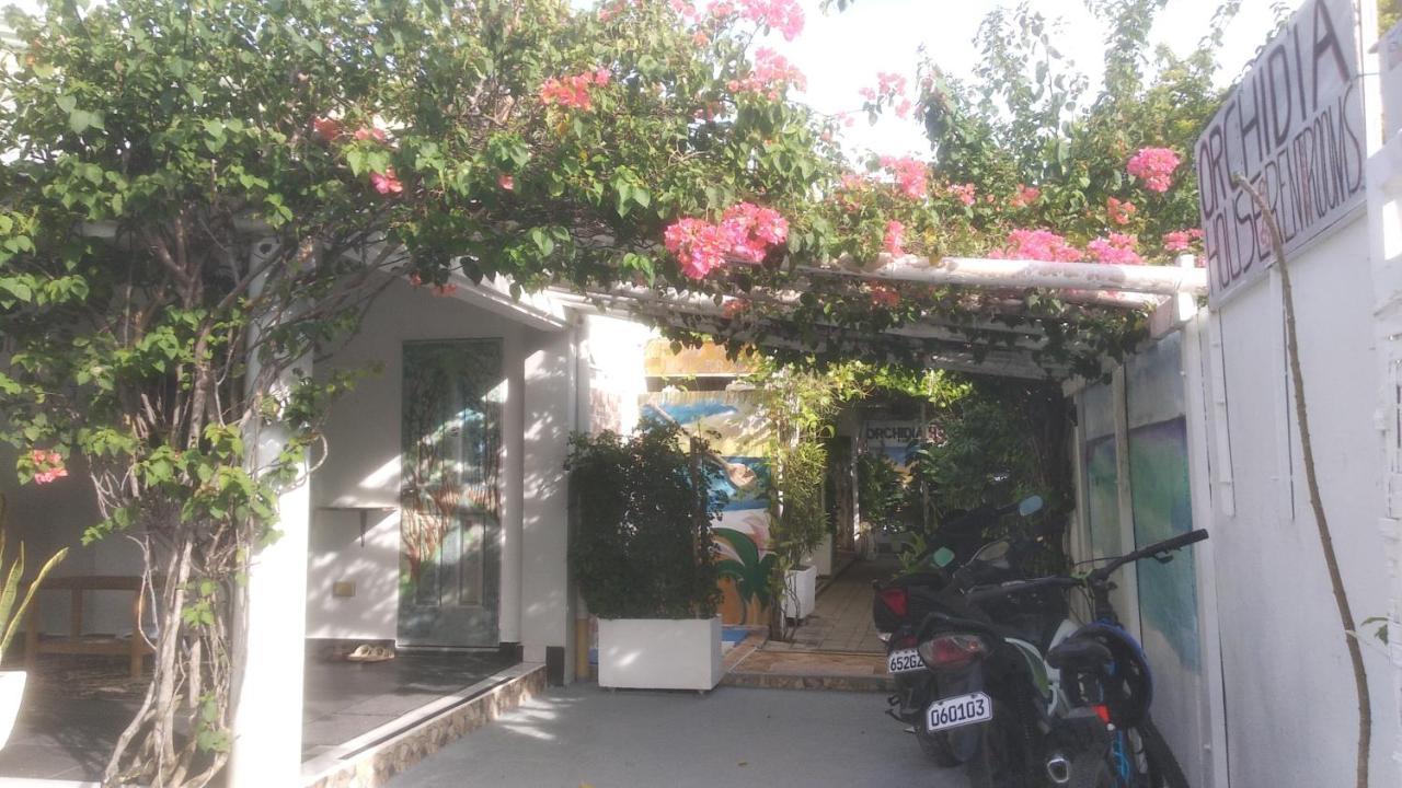 Gardenia House Rent Rooms Santa Fe Exterior foto